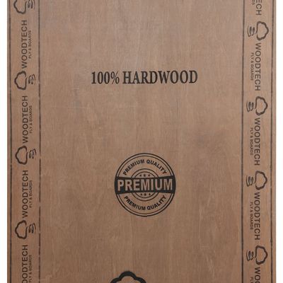 Woodtech Gurjan Face 7 ft. x 4 ft. 12 mm MR Plywood