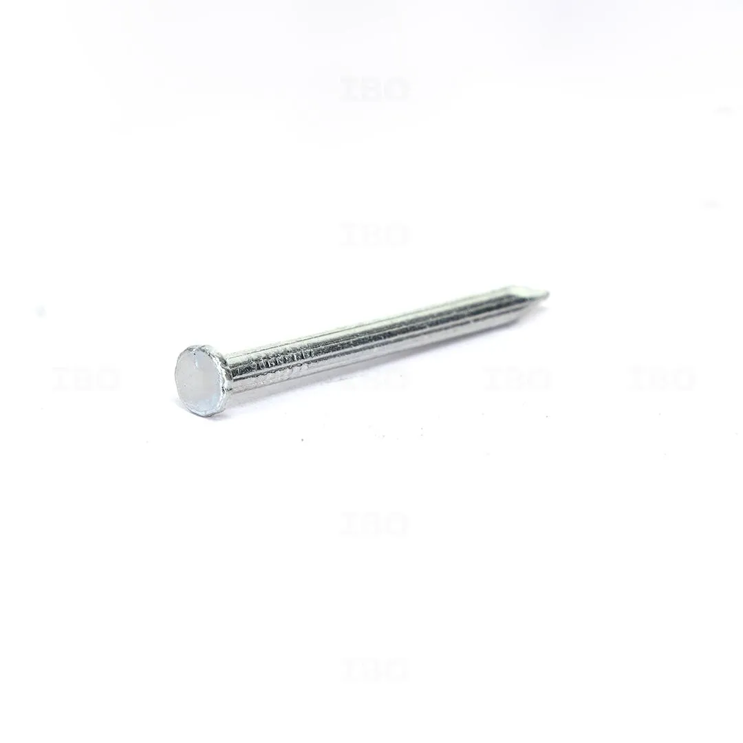 SS Nails 2"- 250 gram Pack SS Nails 2"- 250 gram Pack