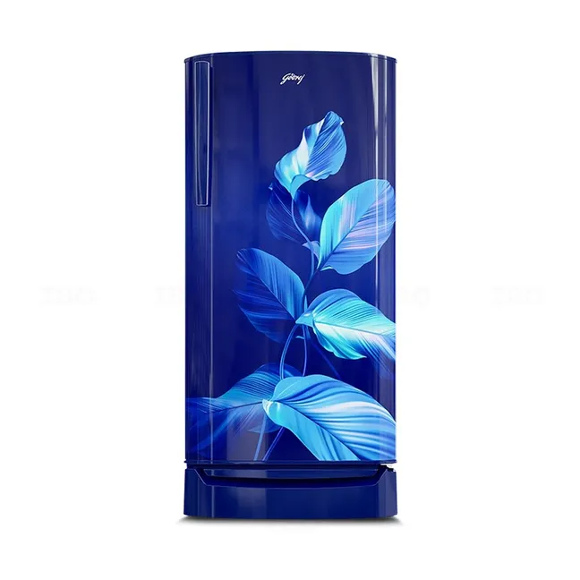 Godrej 180 L, 2 Star, Direct Cool Refrigerator (RD ERIOPLS 205B THF SE BL, Sea Blue)