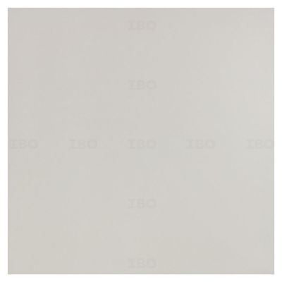 Shreeji Nano Plain Glossy 600 mm x 600 mm Nano Soluble Salt Tile