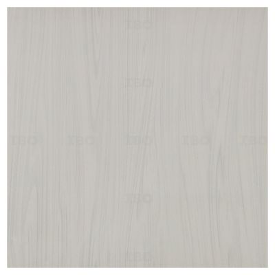 Shreeji Nano Stylo Glossy 600 mm x 600 mm Nano Soluble Salt Tile