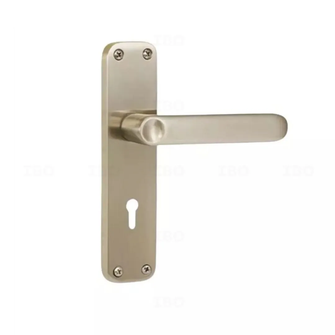 Godrej 6325 SS Matte Mortise on Plate