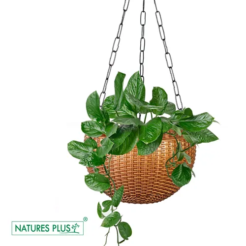 Natures Plus Rattan Hanging Pot 8 Inch
