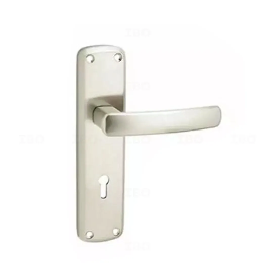 Godrej 6647 SS Matte Mortise on Plate