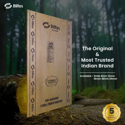 BILTUS 7 ft. x 4 ft. 18 mm MR Plywood