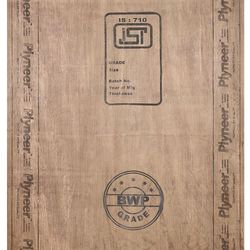 Plyneer Neem 7 ft. x 4 ft. 6 mm BWP/Marine Plywood