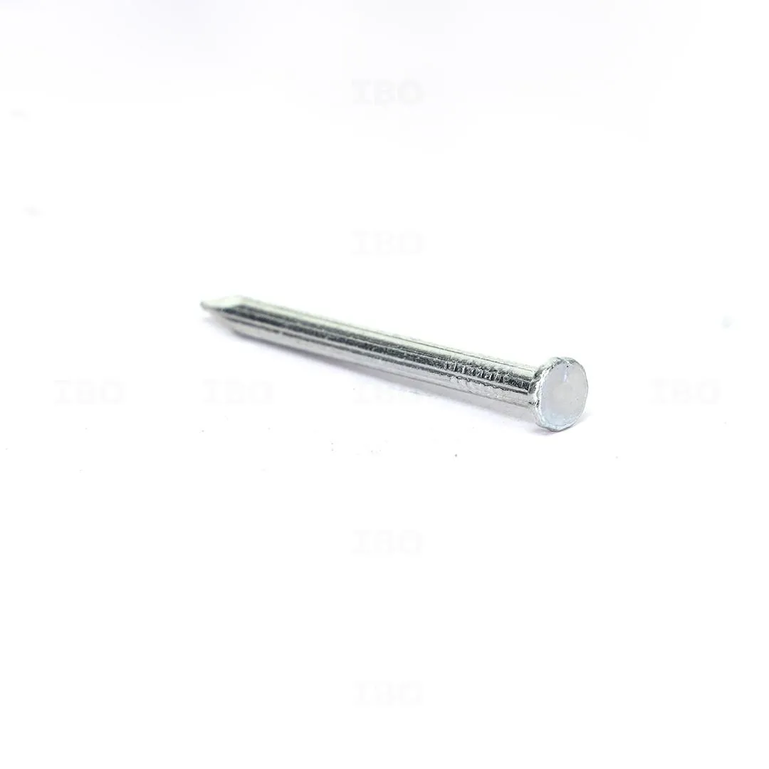 SS Nails 2"- 250 gram Pack