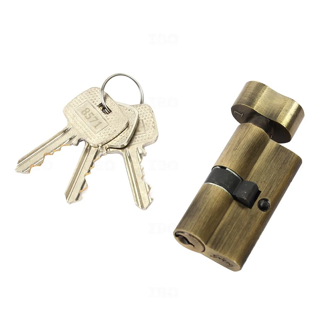 Buy Godrej 7696 MEG Antique Mortise on Plate Set (CY Type) on IBO