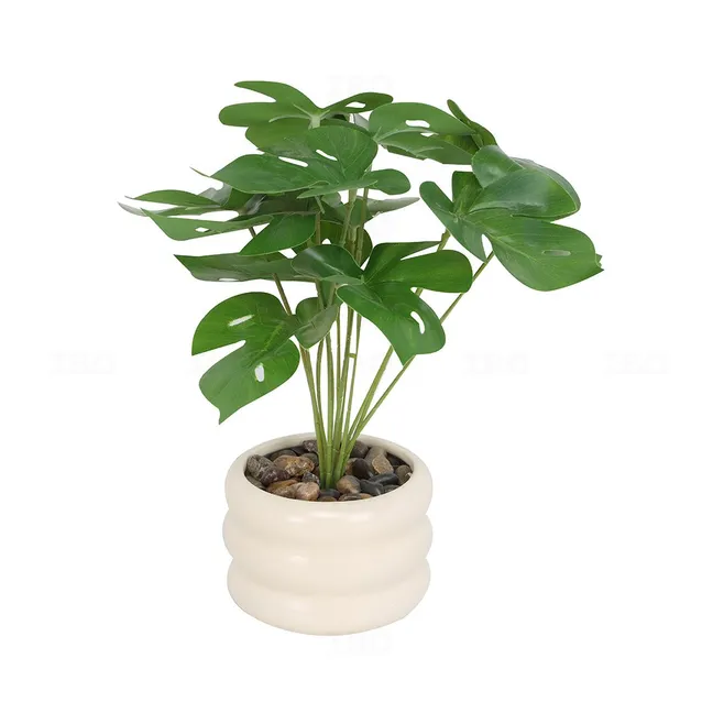 Artificial Potted Plant Monstera 10 x 29 cm Artificial Potted Plant Monstera 10 x 29 cm