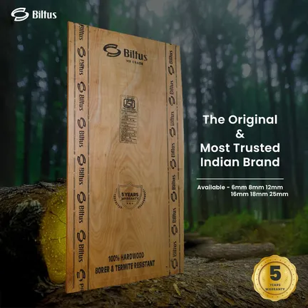 BILTUS 8 ft. x 4 ft. 25 mm MR Plywood