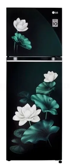 LG 246 L, 3 Star, Frost Free Top Mounted Refrigerator ( GL-S262SELX, Emerald Lotus) LG 246 L, 3 Star, Frost Free Top Mounted Refrigerator ( GL-S262SELX, Emerald Lotus)