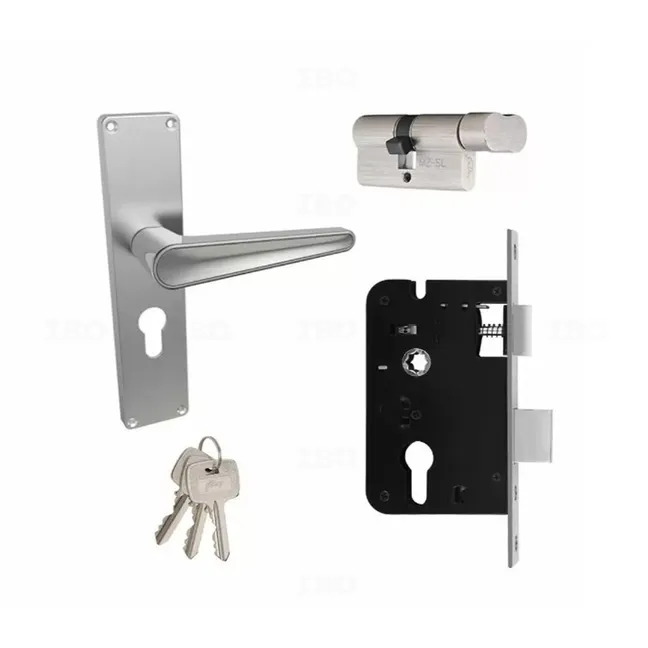 Godrej 2663 SS matte Mortise on Plate (CY Type)