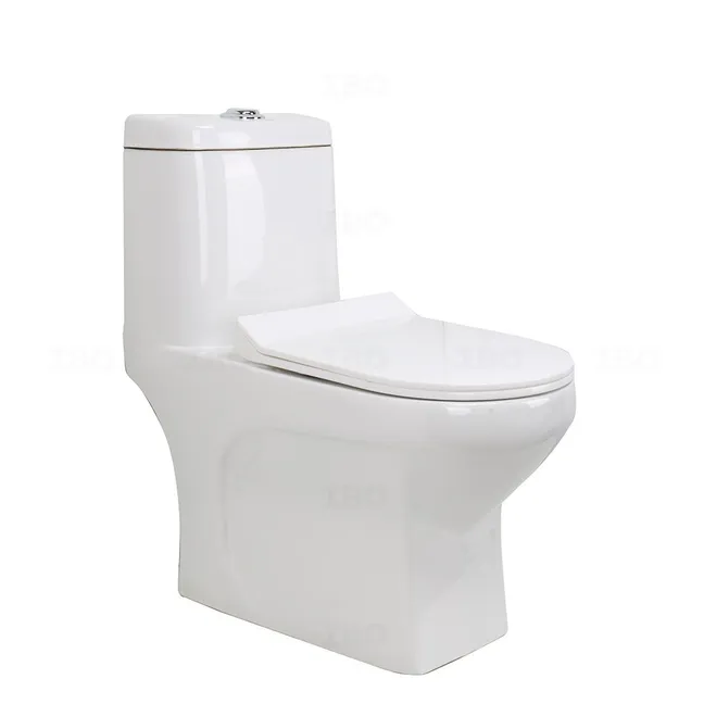 Sunhearrt Roger 220 mm Floor Mounted One Pc Toilet Sunhearrt Roger 220 mm Floor Mounted One Pc Toilet