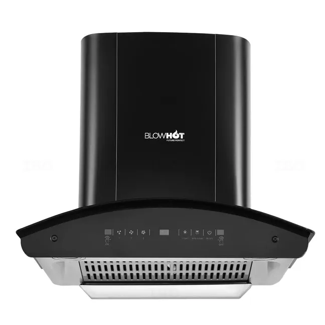 Blowhot Camilia L BAC MS  Chimney