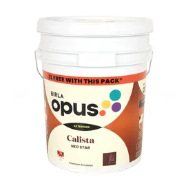 BIRLA opus NS 1 Calista Neo Star Pastel 20 L Exterior Emulsion - Base