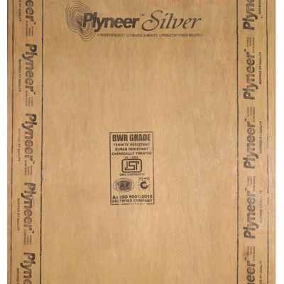 Plyneer Silver 7 ft. x 4 ft. 9 mm BWR Plywood
