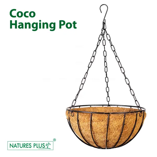 Natures Plus Coco Hanging Pot 10 Inch