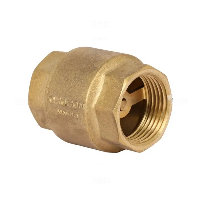 Zoloto ¾ in. (20 mm) Forged Brass Check Valve/NRV