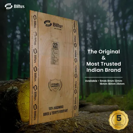 BILTUS 7 ft. x 4 ft. 12 mm MR Plywood