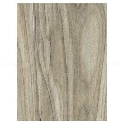 CENTURYLAMINATES Starline 83765 Grey Elm GL 0.8 mm Decorative Laminates