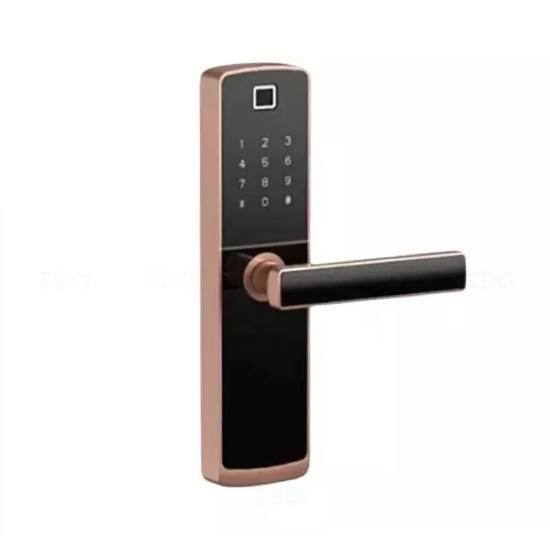 Godrej 4215 Black Finish Door Lock