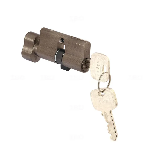 Godrej 3953 Brass 60 mm Lock Body & Cylinders