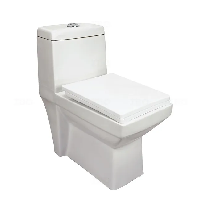 Parryware Sutra S-220 Floor Mounted White Single Piece Toilet