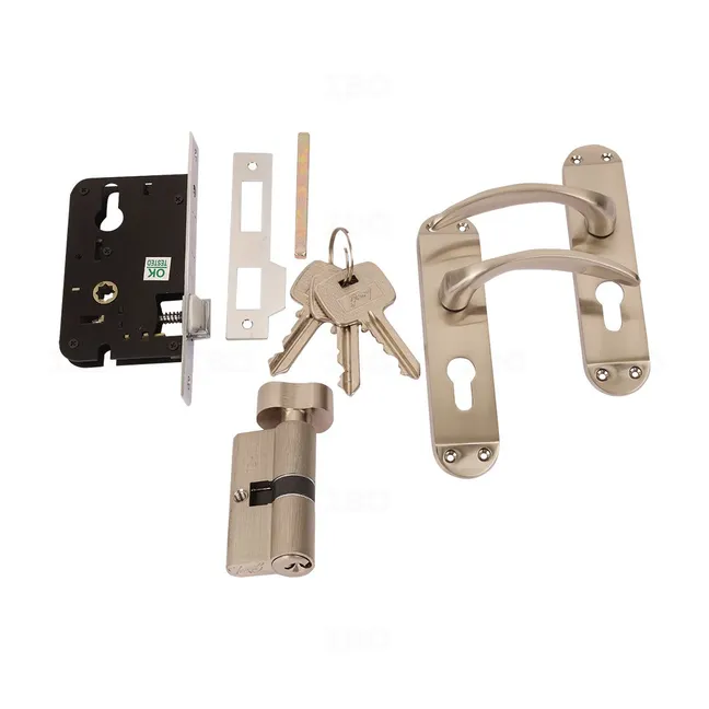 Godrej 4493 SS Matte Mortise on Plate Set (CY Type)