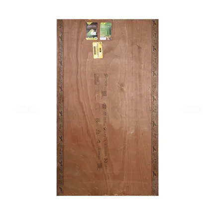 Greenply Gold 2.0 7 ft. x 4 ft. 19 mm BWP/Marine Blockboards