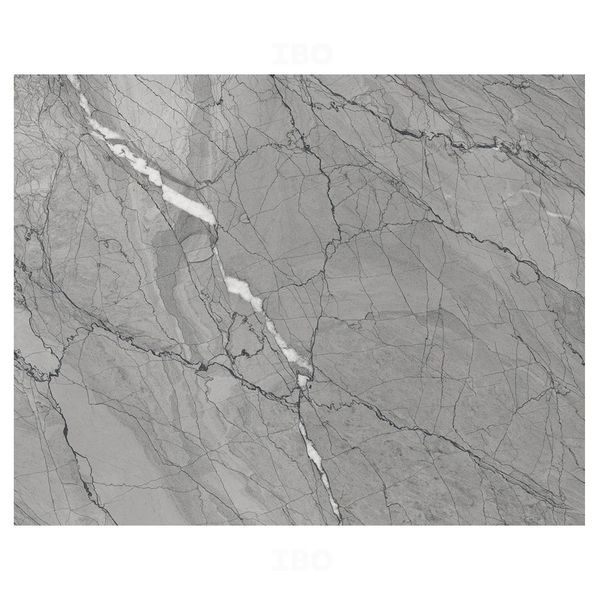 Buy Shreeji Spider Grey 1200 mm x 600 mm GVT Tile on IBO.com