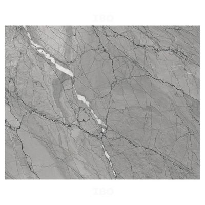 Shreeji Spider Grey Glossy 1200 mm x 600 mm GVT Tile