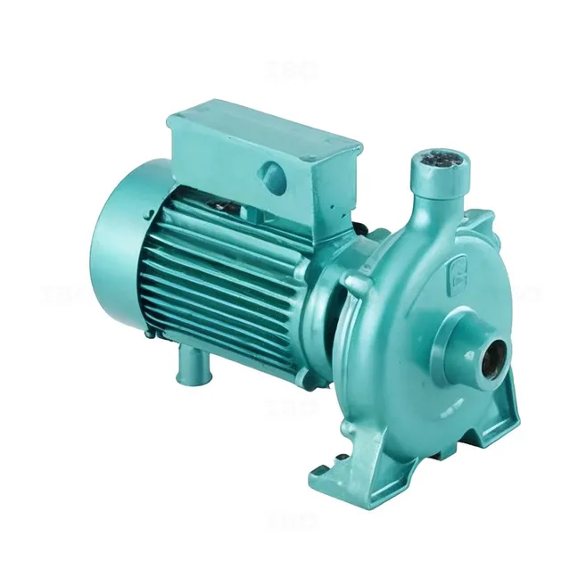 CRI ACM Series Single Phase 1 HP (0.74 kW) Centrifugal Pump