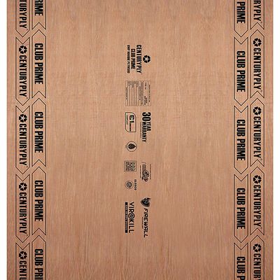 Centuryply Club Prime 8 ft. x 4 ft. 9 mm BWP/Marine Plywood