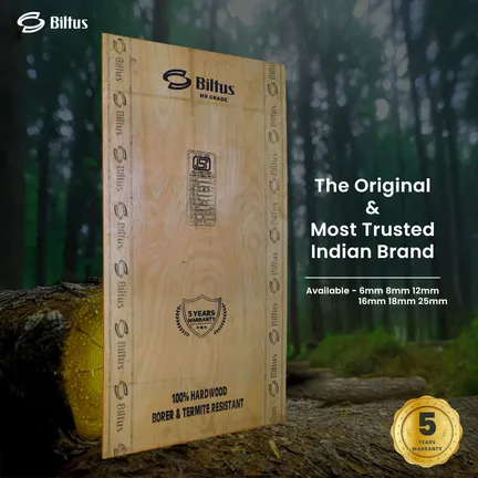 BILTUS 8 ft. x 4 ft. 8 mm MR Plywood