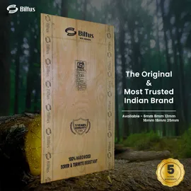 BILTUS 8 ft. x 4 ft. 8 mm MR Plywood