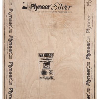 Plyneer Silver 7 ft. x 4 ft. 6 mm MR Plywood
