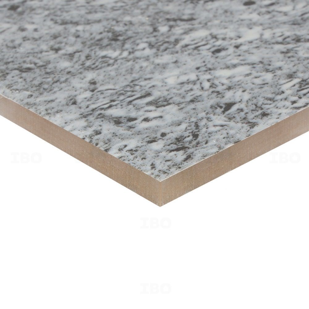 Cera Lucido Rock Ash Glossy 600 mm x 600 mm GVT Tile2
