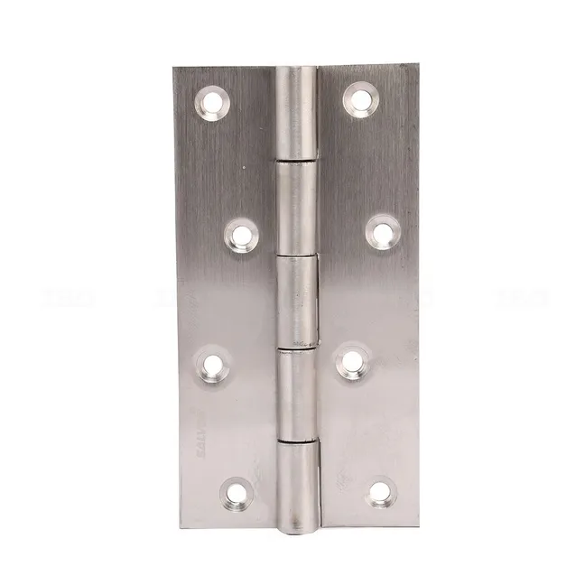 Salvor RLWY SS Matte 5 in. x 12 mm Stainless Steel Railway Hinge