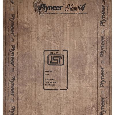 Plyneer Neem 8 ft. x 4 ft. 9 mm BWP/Marine Plywood