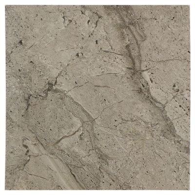 Kajaria Bolivia Dark Textured 300 mm x 300 mm Ceramic Floor Tile