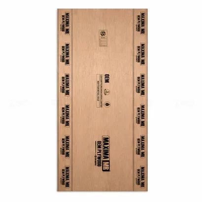 Centuryply Maxima 8 ft. x 4 ft. 16 mm MR Plywood