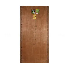 Greenply Gold 2.0 8 ft. x 4 ft. 12 mm BWP/Marine Plywood