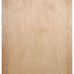 Sharonply sovereign 8 ft. x 4 ft. 18 mm MR Plywood