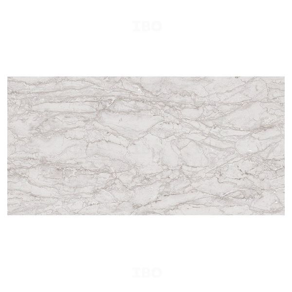 Sunhearrt Dlite Grey DK Glossy 600 mm x 300 mm Ceramic Wall Tile