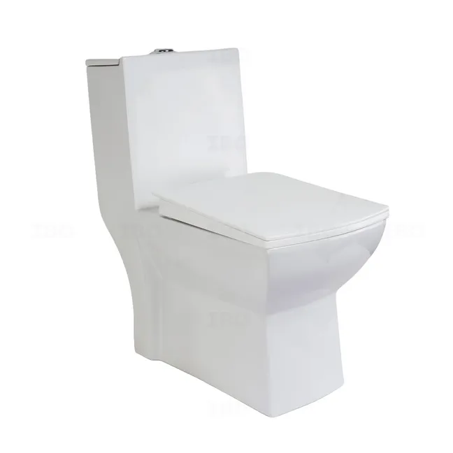 Sunhearrt Dalena Siphonic 220 mm Floor Mounted Single Piece Toilet