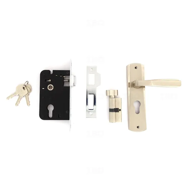 Godrej 4495 Antique Mortise on Plate Set (CY Type) Godrej 4495 Antique Mortise on Plate Set (CY Type)