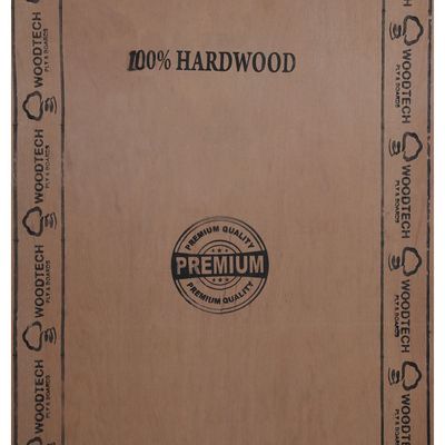 Woodtech Gurjan Face 8 ft. x 4 ft. 8 mm MR Plywood
