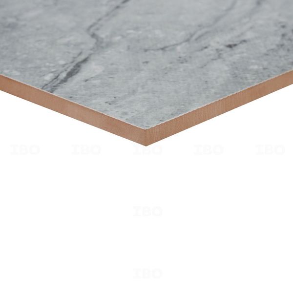 Buy Naveen Tiles 1984 FL Textured 300 mm x 300 mm Ceramic Floor Tile on