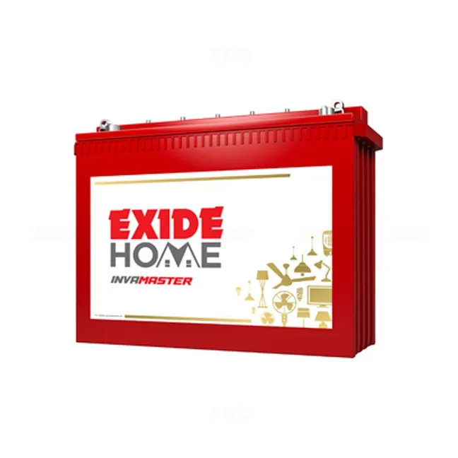 Exide 200 Ah Tall tubular battery