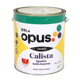 BIRLA opus SSE 21 Calista Sparkle Satin 4 L Black Enamel-Color